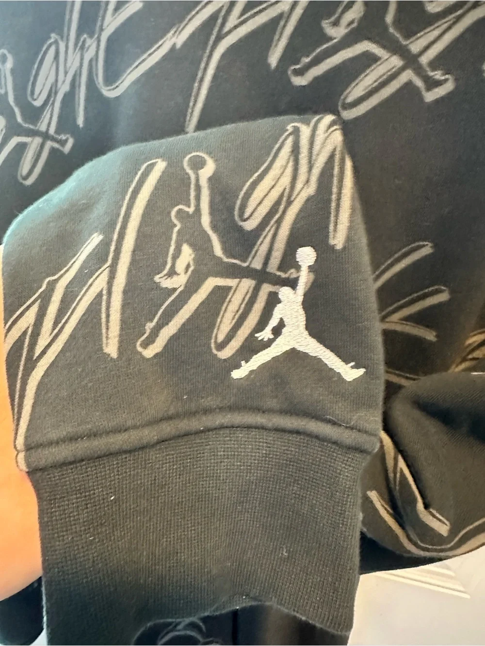 Jordan crewneck hoodie